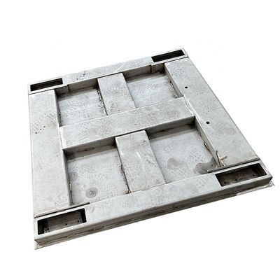 1 ton 2 ton 3 ton 5 ton Duurzame weegschaal van roestvrij staal met maatwerk