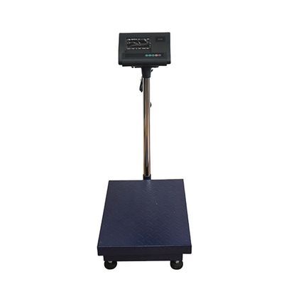 100 kg/ 300 kg/ 500 kg/ 800 kg draagbare weegmachine van roestvrij staal met OEM-ondersteuning
