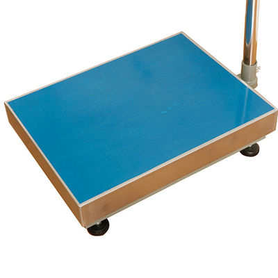 100 kg/ 300 kg/ 500 kg/ 800 kg draagbare weegmachine van roestvrij staal met OEM-ondersteuning