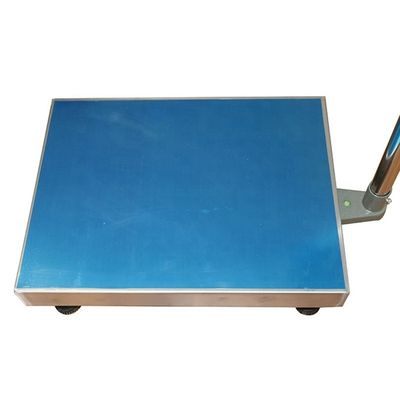100 kg/ 300 kg/ 500 kg/ 800 kg draagbare weegmachine van roestvrij staal met OEM-ondersteuning