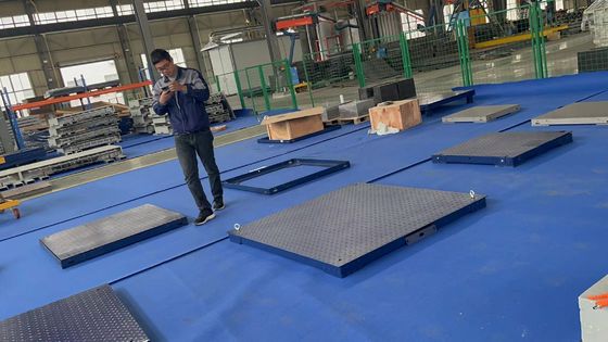 Oplaad- of batterijdisplay Type 1.2M 2T Varkensschaal voor dieren Op maat gemaakte ondersteuning OEM